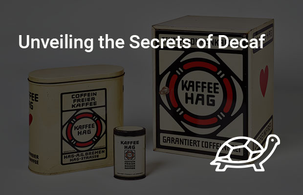 Unveiling the Secrets of Decaf