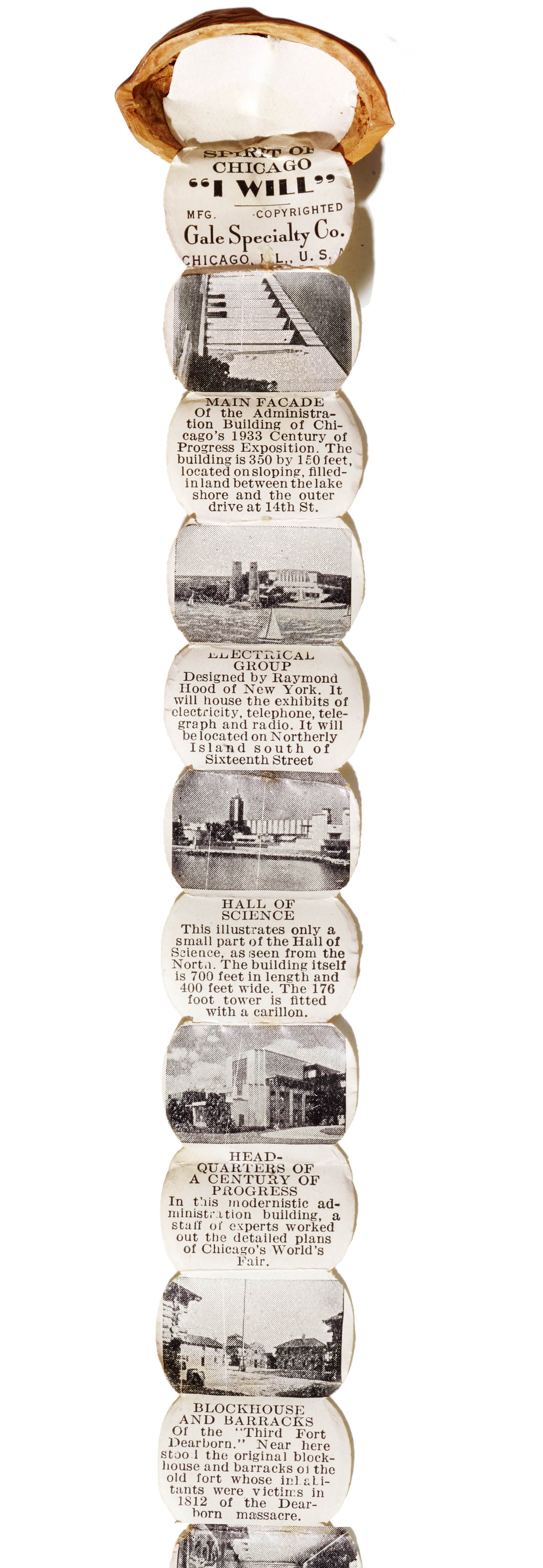 A detail from the nutshell's folded booklet.